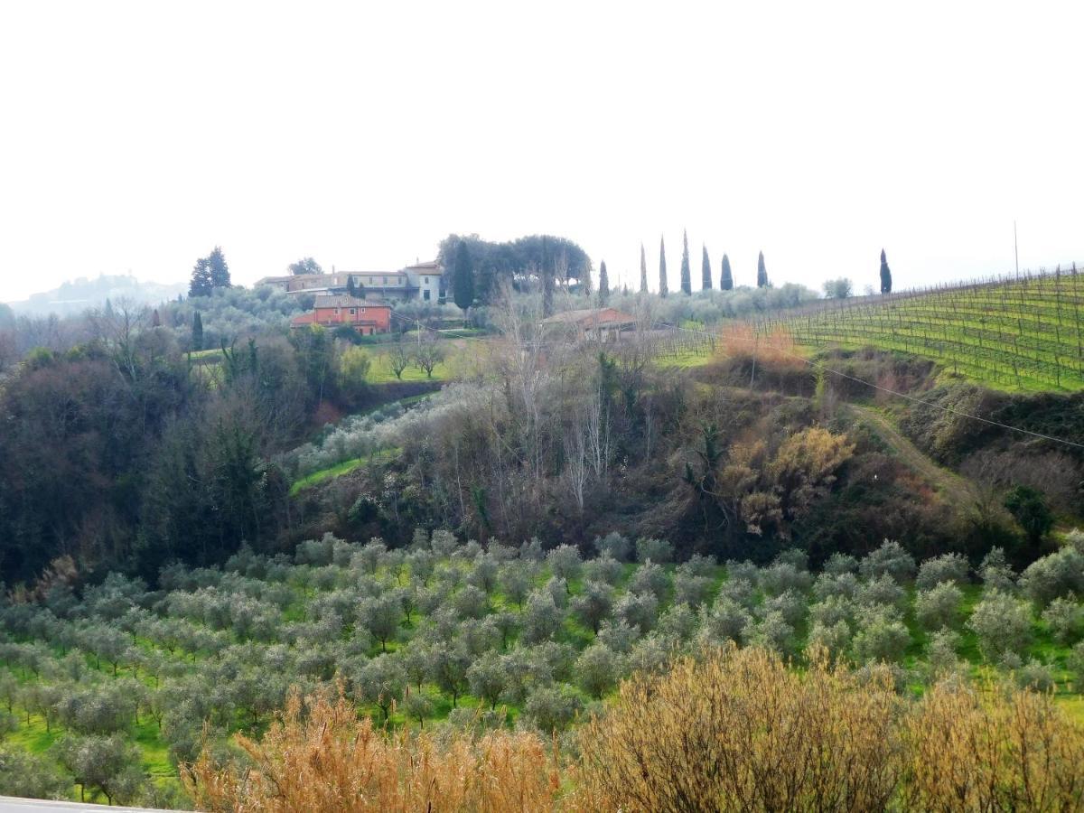 Terricciola Agriturismo Terre Di Toscana מראה חיצוני תמונה