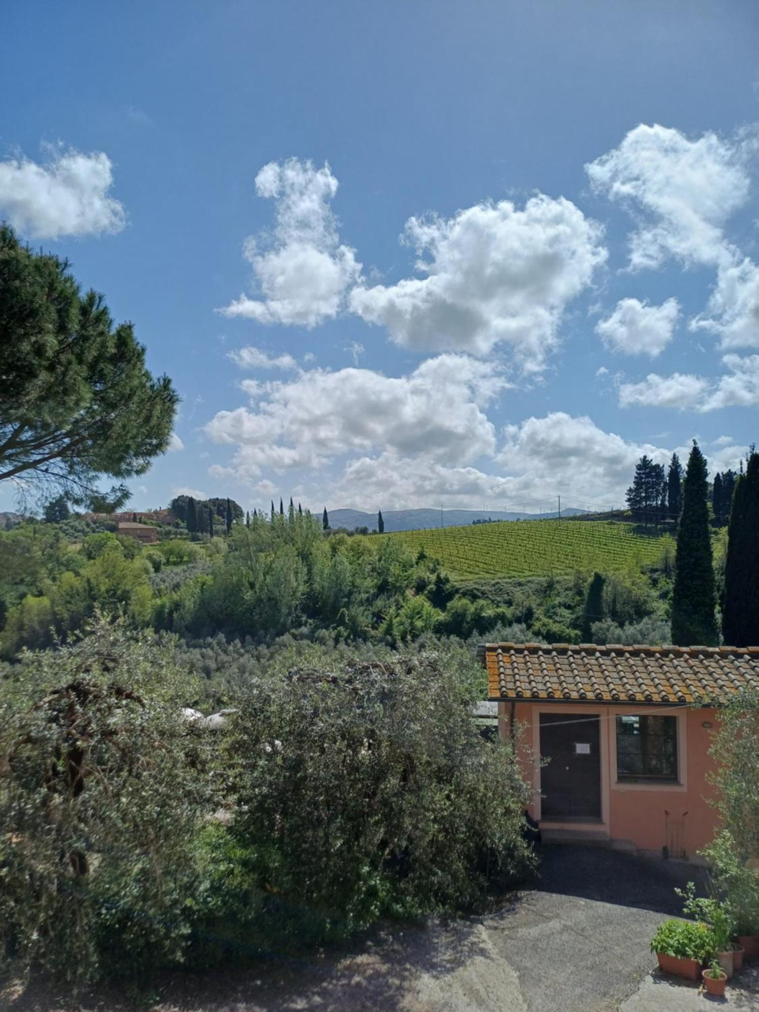 Terricciola Agriturismo Terre Di Toscana מראה חיצוני תמונה